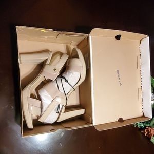 Shoe